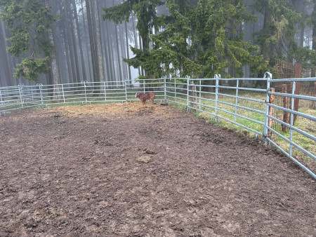 I přes nepříznivé počasí jsme si výlet užili